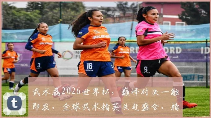 武术磊2026世界杯，巅峰对决一触即发，全球武术精英共赴盛会，精彩不容错过