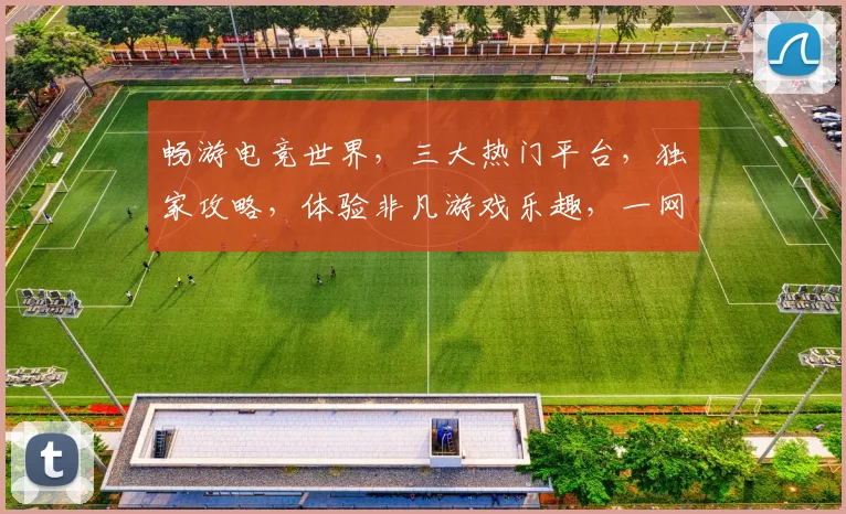 畅游电竞世界，三大热门平台，独家攻略，体验非凡游戏乐趣，一网打尽