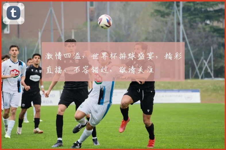 激情四溢，世界杯排球盛宴，精彩直播，不容错过，敬请关注