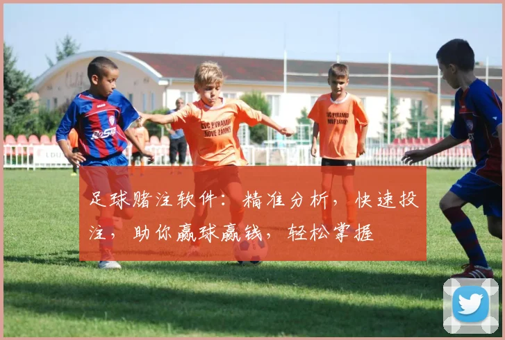 足球赌注软件：精准分析，快速投注，助你赢球赢钱，轻松掌握